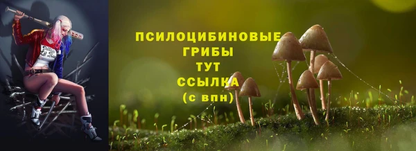 Альфа ПВП Мегион