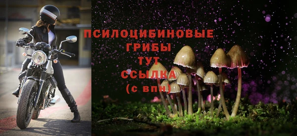 mdpv Майский