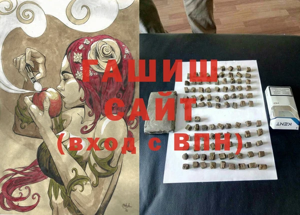 гидра Бердск
