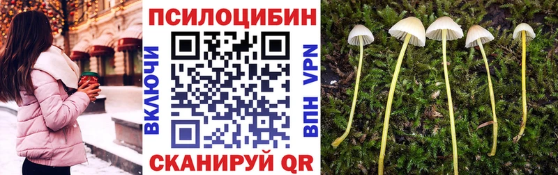наркота  Новоуральск  Галлюциногенные грибы ЛСД 